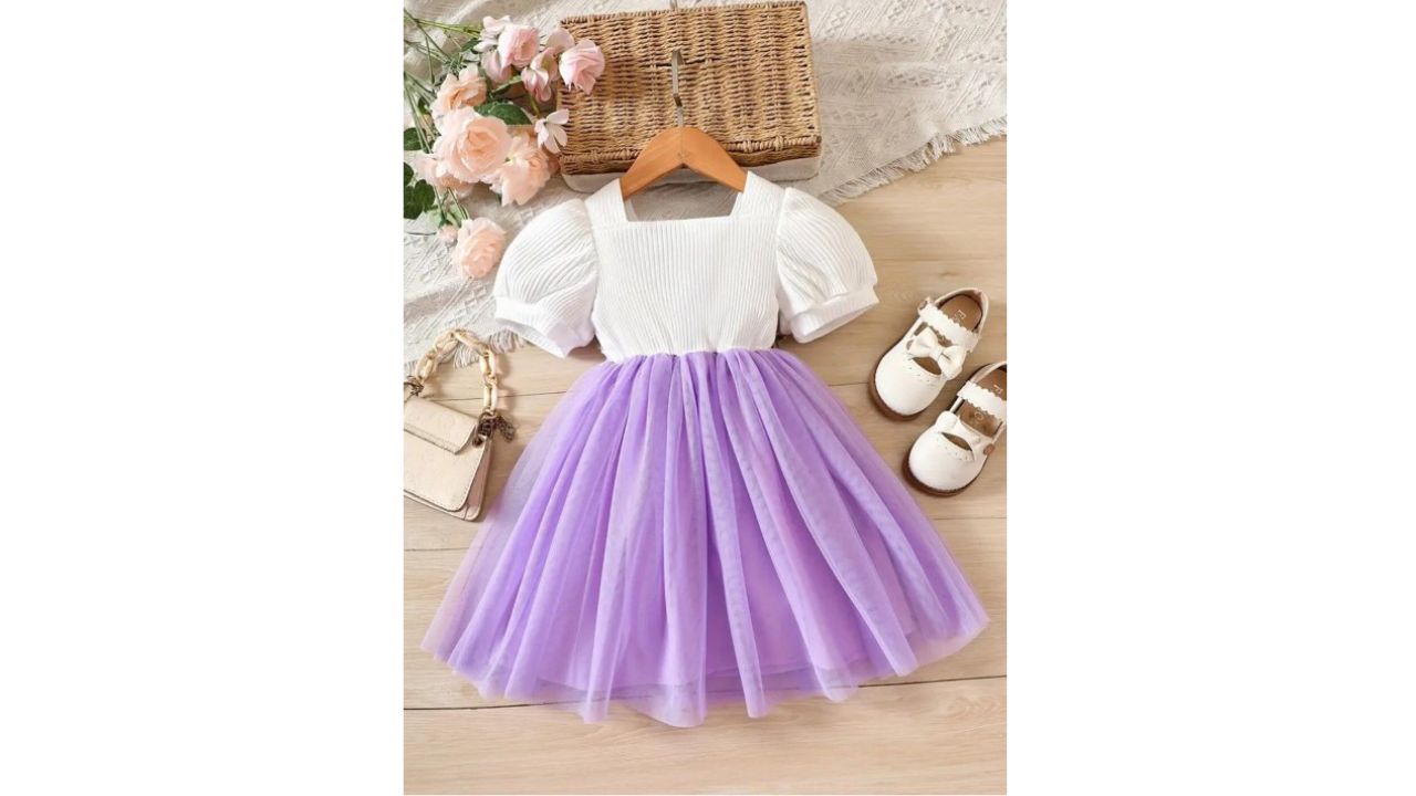 BAESD Net Fit & Flare Party Dress