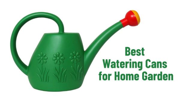 Best Watering Cans for Home Garden