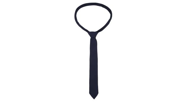 Bureaucrat Solid Color Slim Microfiber Tie