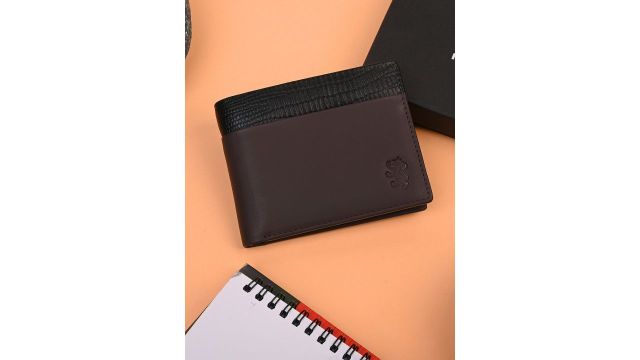 Red Tape Men Colourblocked Leather Two Fold Wallet