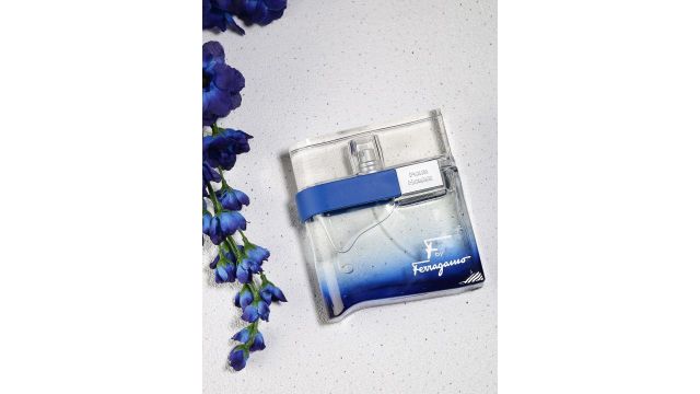 Salvatore Ferragamo Men F Free Time Eau De Toilette