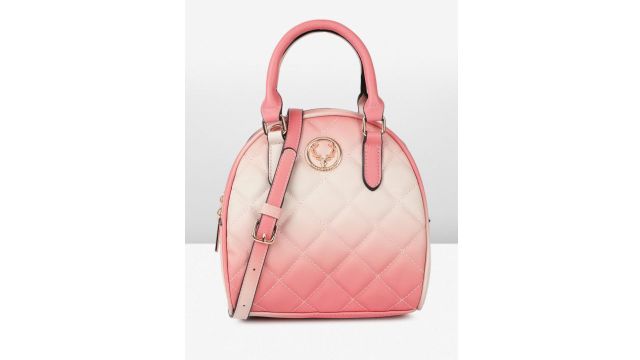 Allen Solly Colourblocked Quilted Handheld Bag