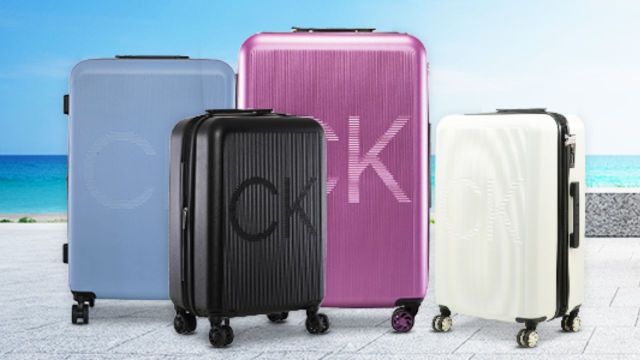 Best Calvin Klein Luggage Picks on Myntra