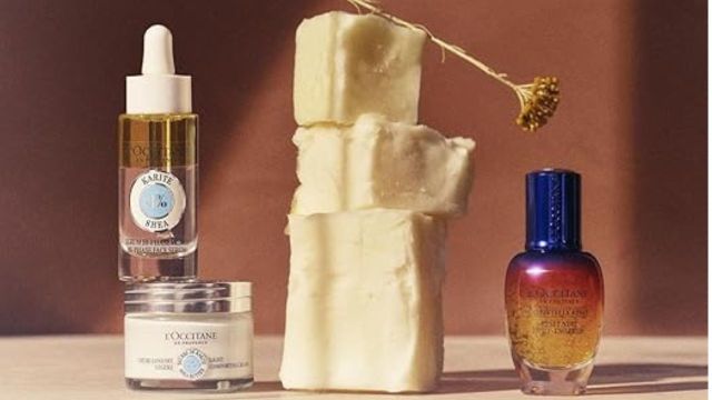 Best L'Occitane Shea Skincare Picks on Amazon