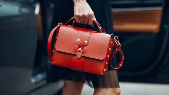 Best Luxury Handbags for Dhanteras on Myntra