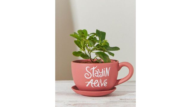Chumbak Coral Pink Stayin Alive Printed Planter