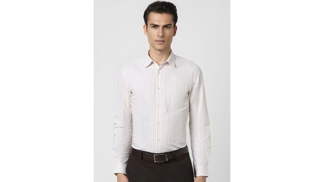 Peter England Spread Collar Long Sleeves Slim Fit Striped Formal Shirt