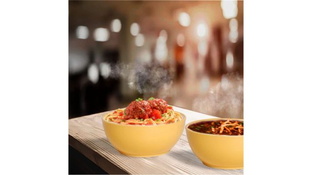 Plastic Prime Desire Double‑Color Unbreakable Bowl Set (4 pcs, 500 ml)