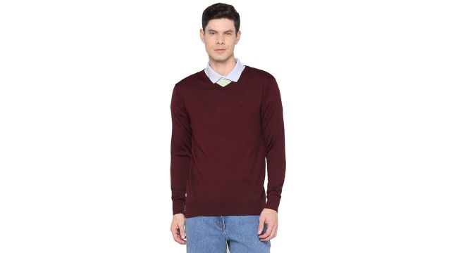 Allen Solly Men Acrylic Blend Casual Sweater