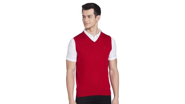 Allen Solly Men's Wool Casual V Neck Sweater