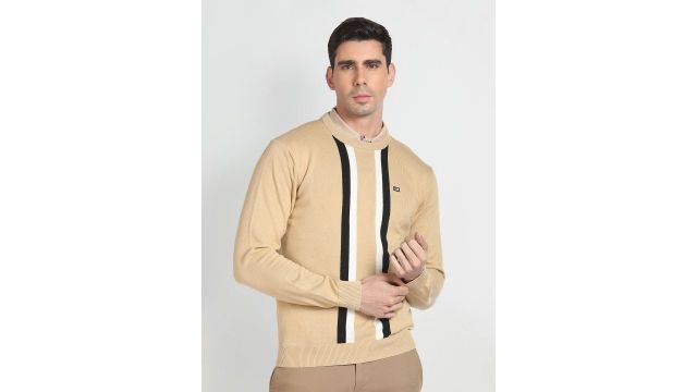 Arrow Sport Round Neck Striped Pullover Pure Cotton Sweater