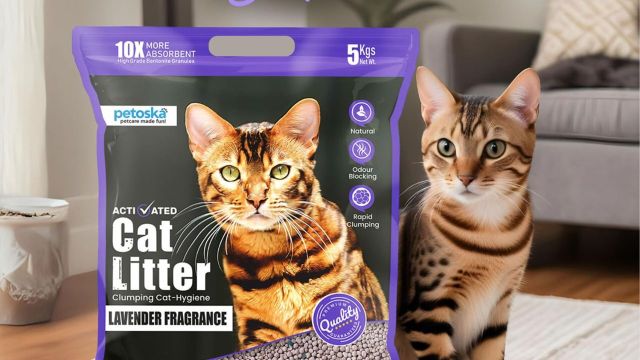 Best cat litters to check out for your feline friend