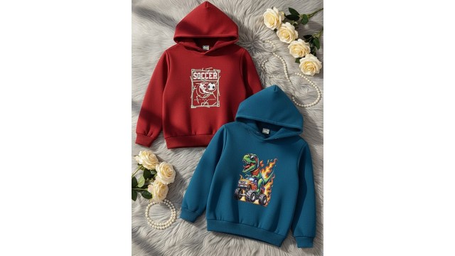 CutiekinsBoys Printed Hooded Sweatshirt