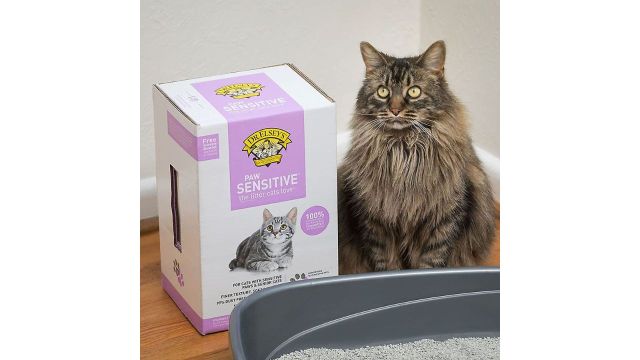 Dr. Elsey’s Paw Sensitive Bentonite Cat Litter (Unscented, 9.08 kg)