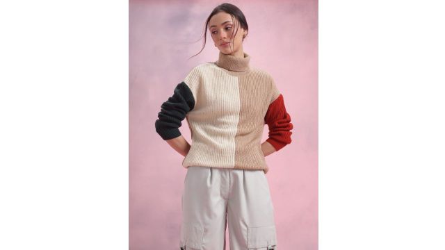 DressBerry Colourblocked Turtle Neck Colourblocked Pullover