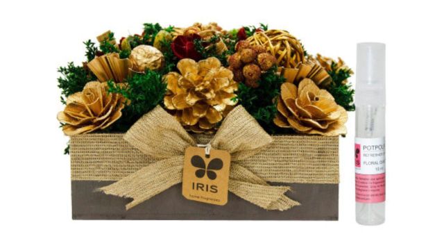 Iris Green & Gold-Toned Textured Dry Potpourri Flowers