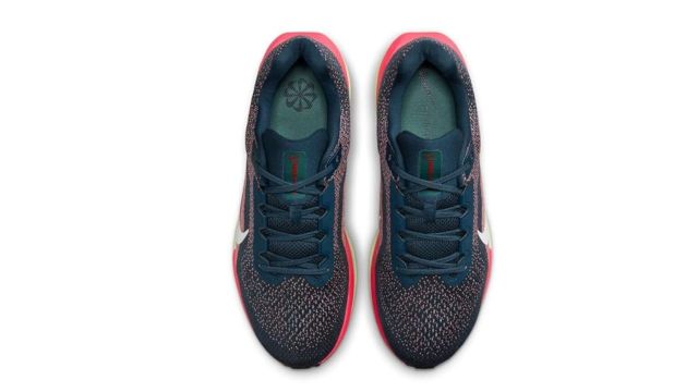 Nike Men Running Shoes (Air Winflo 11)