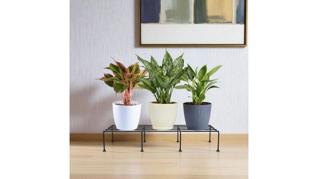 Nurturing Green® Metal Plant Stands (Set of 4)