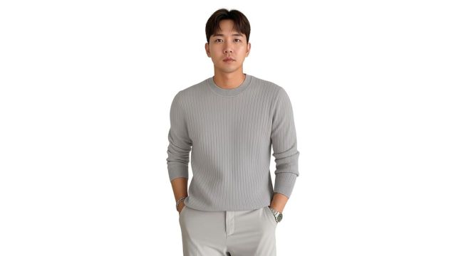 Pivl Men's Winter Round Neck Solid Sweater