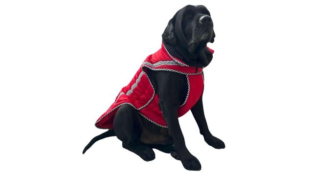 Polyester Dog Winter Jacket/Coat (Extra Warm Padding)