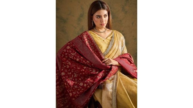 SAHASIKA Women Woven Design Pashmina Stole