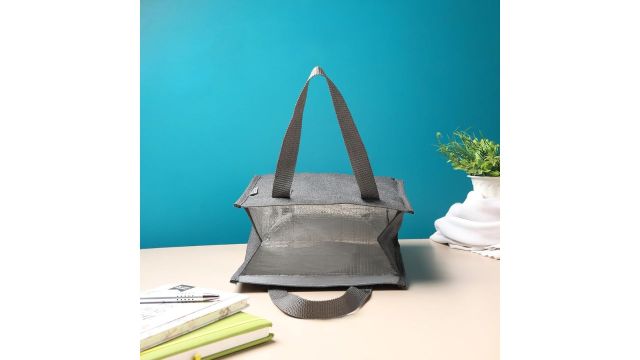 SaleOn Insulated Lunch Bag