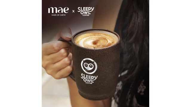 Sleepy Owl Coffee Mug with Lid