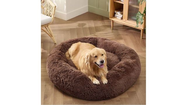 ZEXSAZONE Round Donut Pet Bed (70 × 70 × 15 cm)