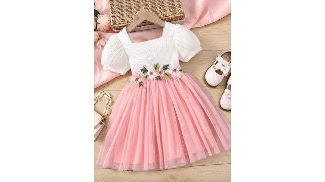 BAESD Flutter Sleeve Net Puff Sleeves Fit & Flare Dress