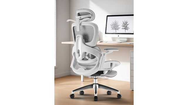 DROGO Grey & White Adjustable Office Chair with 6D Armrest & 4D Headrest