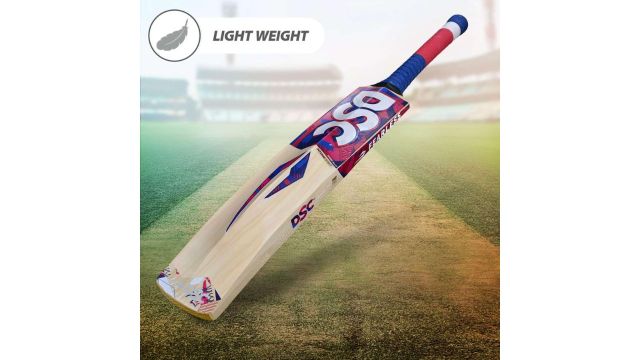 DSC Intense Spirit Kashmir Willow Cricket Bat