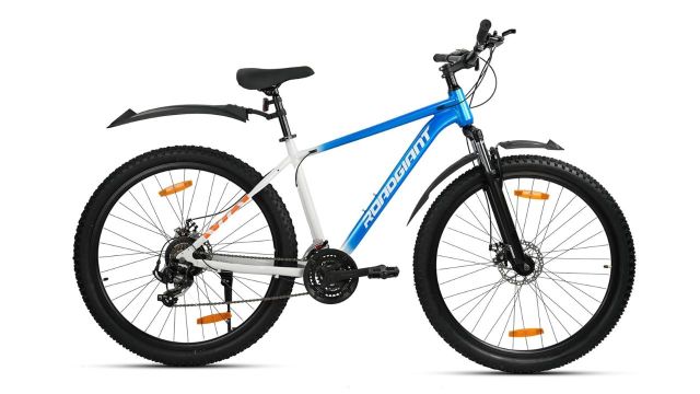 Legacy 29T MTB Aluminum Alloy Frame Bicycle