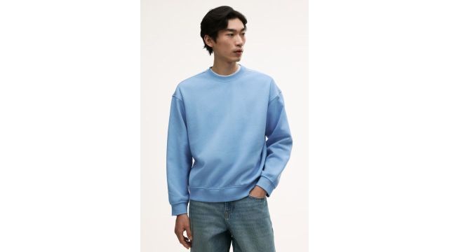 Loose Fit Sweatshirt (Light blue, midweight cotton blend)