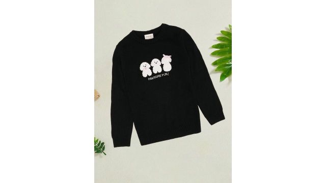 Pantaloons Junior Girls Printed Pullover with Embroidered Detail (Black, 100% acrylic)