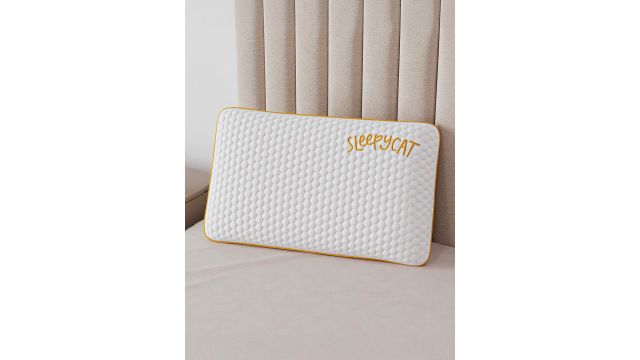 SleepyCat Polyester Lightweight Medium Memory Foam Sleep Pillow