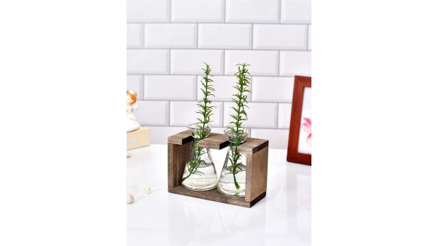 TAYHAA Transparent Glass Flower Vase With Wooden Stand