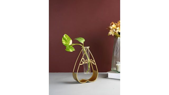 TAYHAA Transparent Metal & Glass Tube Flower Vase