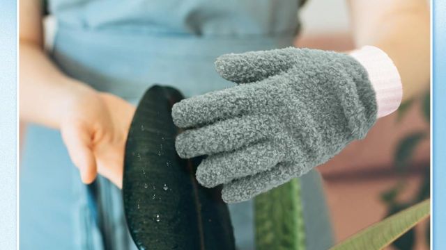 Top Cleaning Gloves to checkout