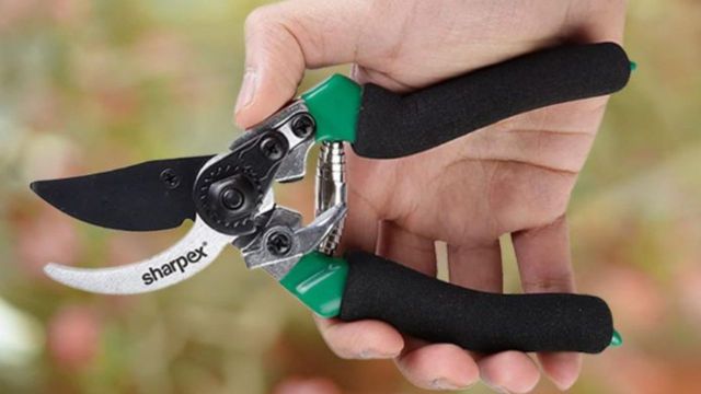 Top Pruning Shears to explore