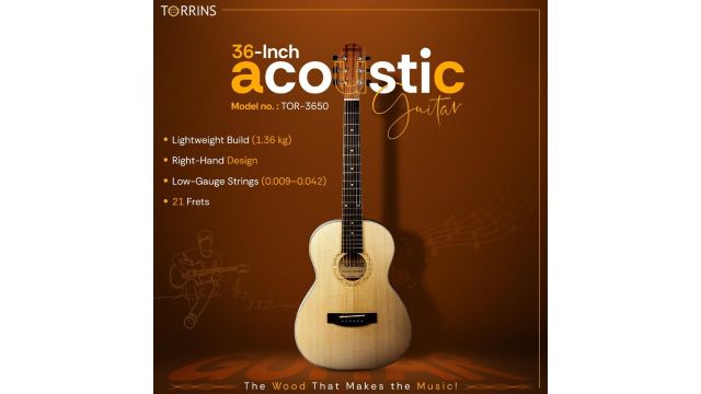 Torrins Natural Wood Acoustic Guitar