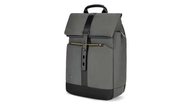 Urban Jungle by Safari, The Venture