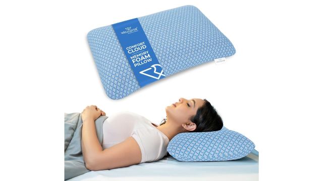 Ergonomic Memory Foam Pillow for Neck Pain (WELLGIVER)