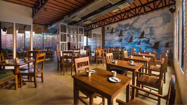 Haiku – Jubilee Hills