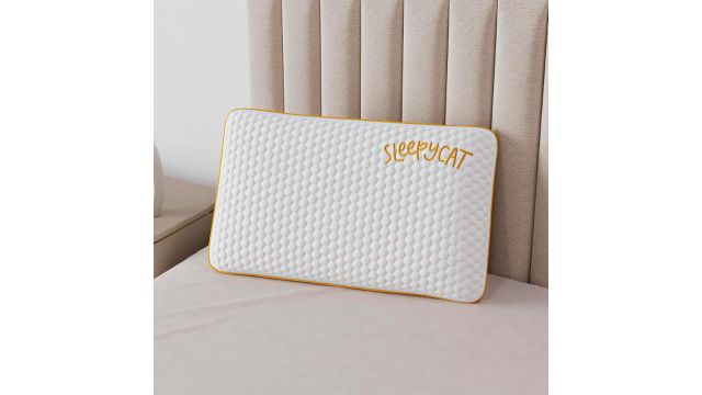 SleepyCat Orthopaedic Memory Foam Pillow