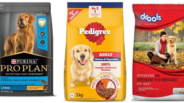 Top Kibble Food Options for Dogs to consider