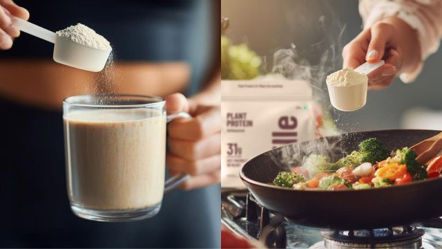 Best Plant Protein Powders to consider