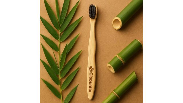 Eco Friendly Bamboo Toothbrush Pack