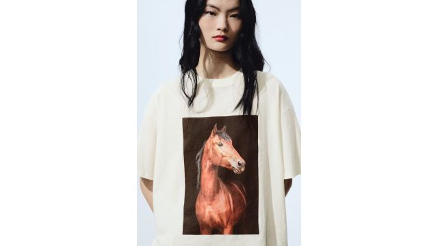 H&M Oversized Cotton T-shirt (Cream/Black/Brown, Horse)