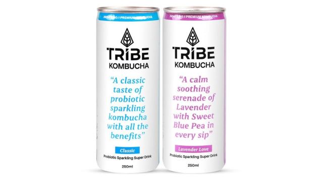 Tribe Kombucha Naturally Sparkling Herbal Tea