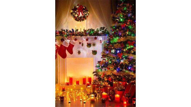 XERGY Multicoloured Solar Powered LED String Light